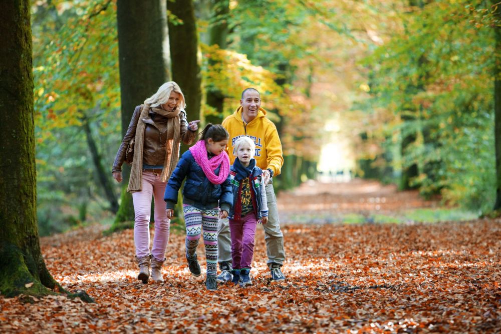 Jong gezin wandelt in het bos