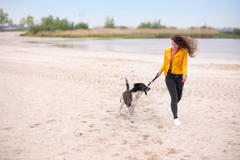 vrouw hond strand